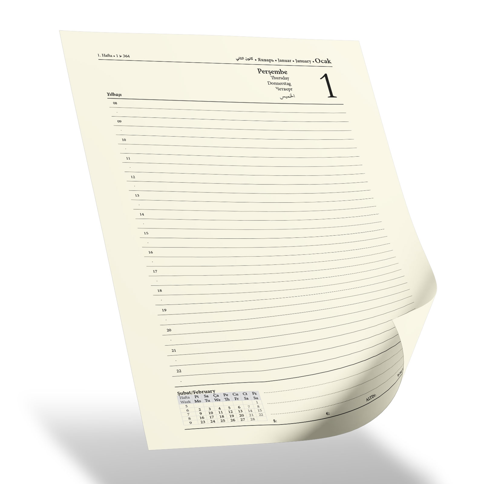 BALGAT TURKUAZ TARİHLİ AJANDA (17X24 CM)